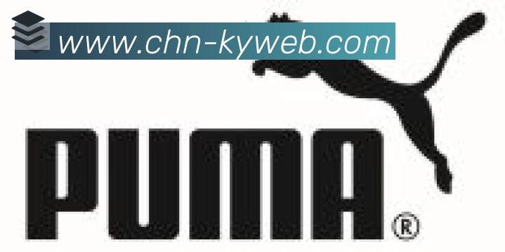 开云kaiyun合作伙伴